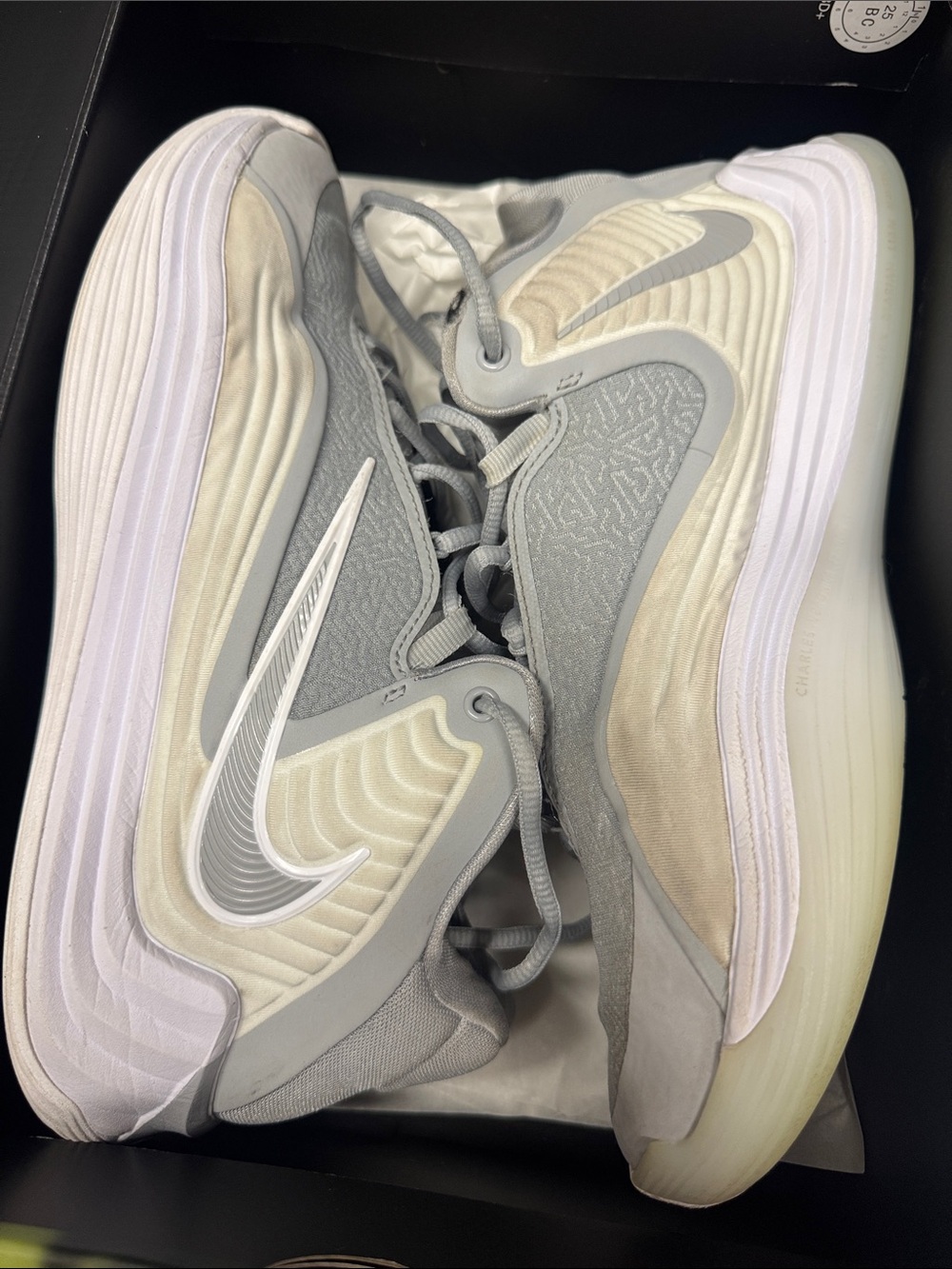 Nike Giannis freak